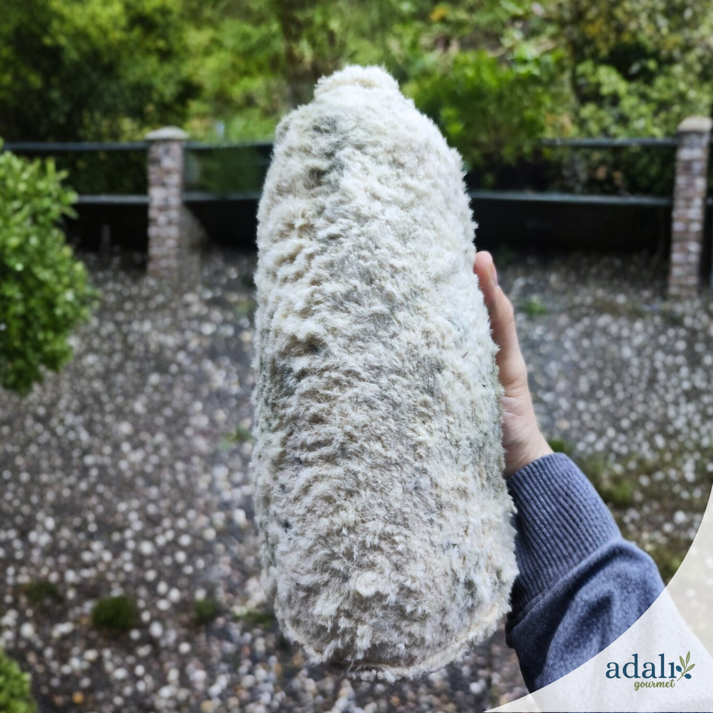 Erzincan deri tulumu - farklı boyutlar