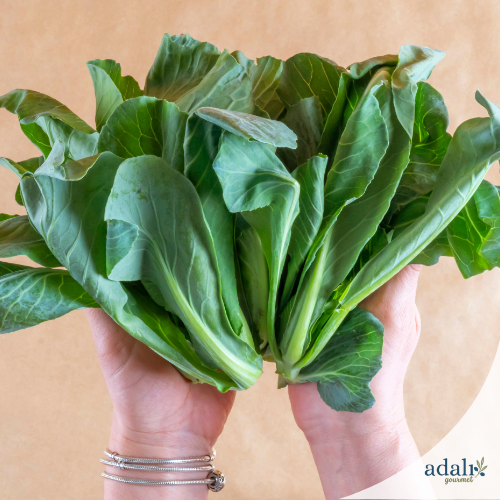 Cibes otu - 660 cc kavanozda