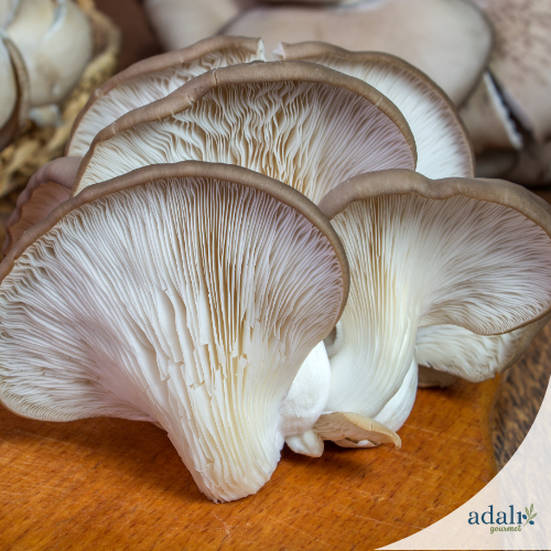 Pleurotes - en bocal de 660 ml