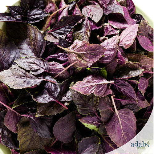 Kurutulmuş reyhan - 250 g